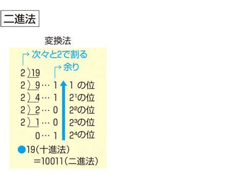 樹下下下|「樹下(きのした)」の意味や使い方 わかりやすく解説 Weblio辞書